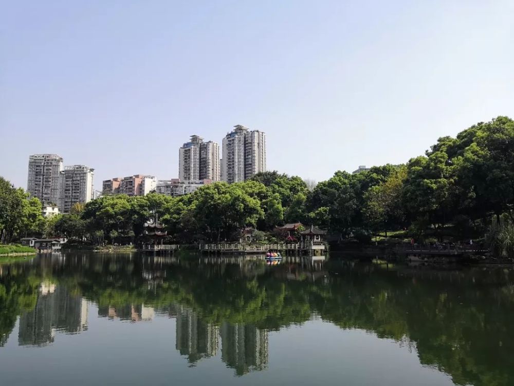 都市田园——春日里的沙坪明德公园