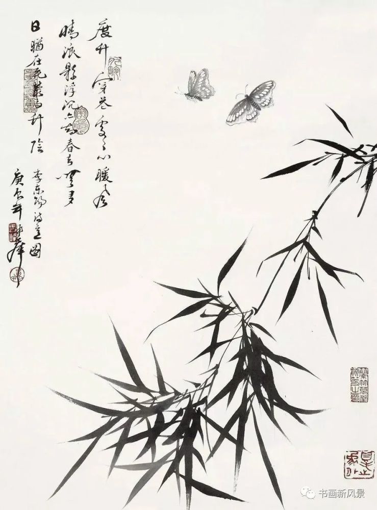 卢坤峰画竹 卢坤峰(1934-),当代著名画家,中国美术学院教授,擅长花鸟