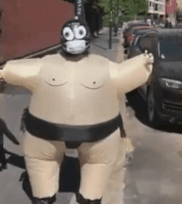 铲屎官,遛狗,萌宠,汪星人,相扑