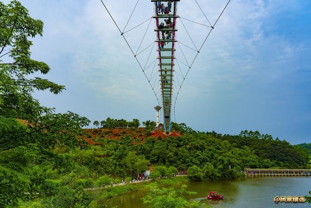 南宁,游玩,景区,旅游局,青秀区,广西科技馆,嘉和城,南宁博物馆,大龙湖