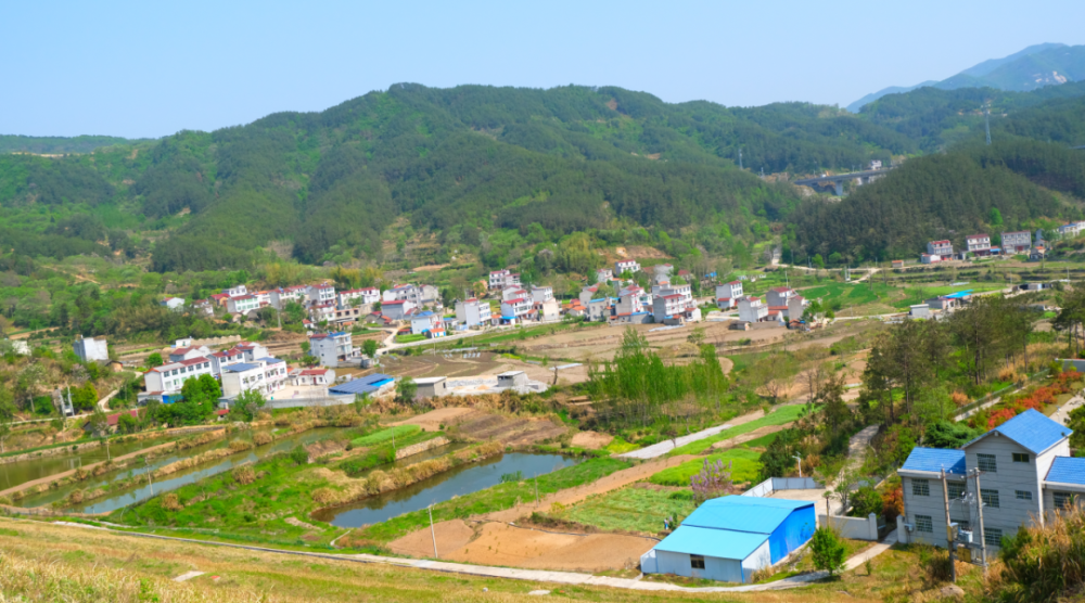 麻城市,森林康养,木子店镇