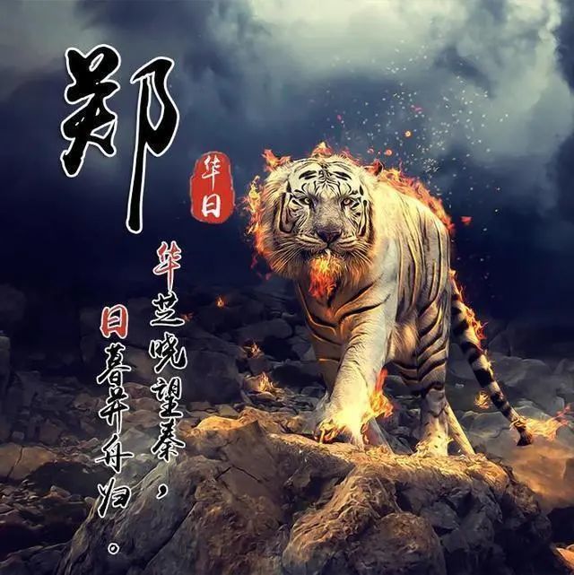 微信头像,3d简约干净精致签名头像,等你来带走