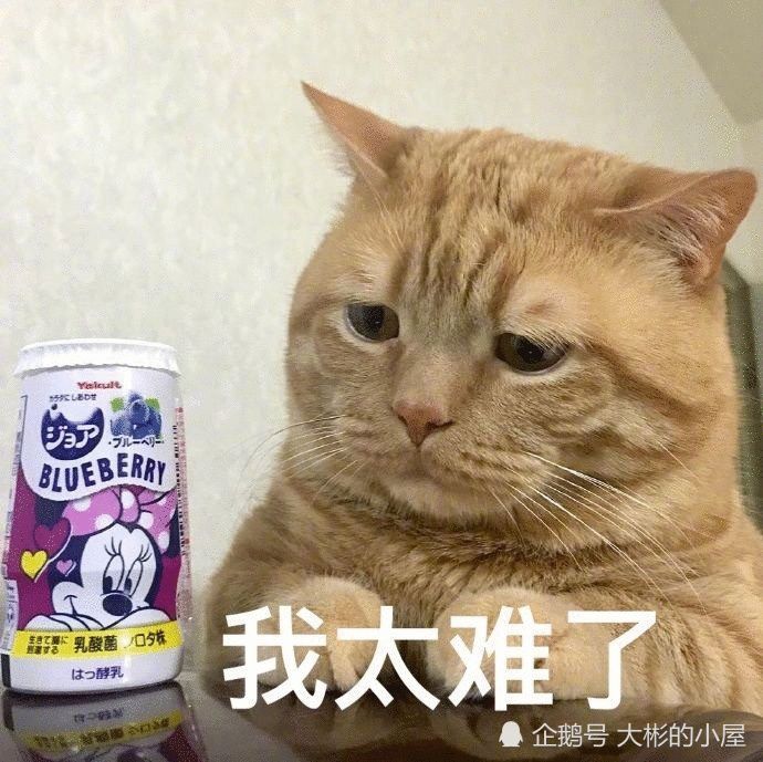 我太难了,生活