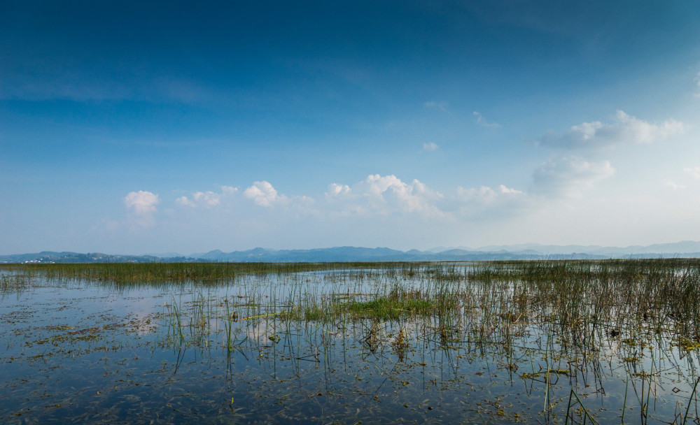 贵州威宁草海,一个被遗忘的湖泊,齐名云南滇池,被誉为