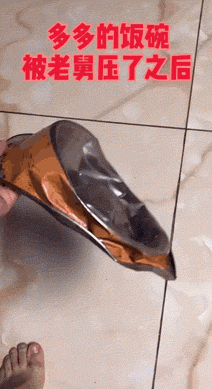 搞笑,萌,萌宠,汪星人