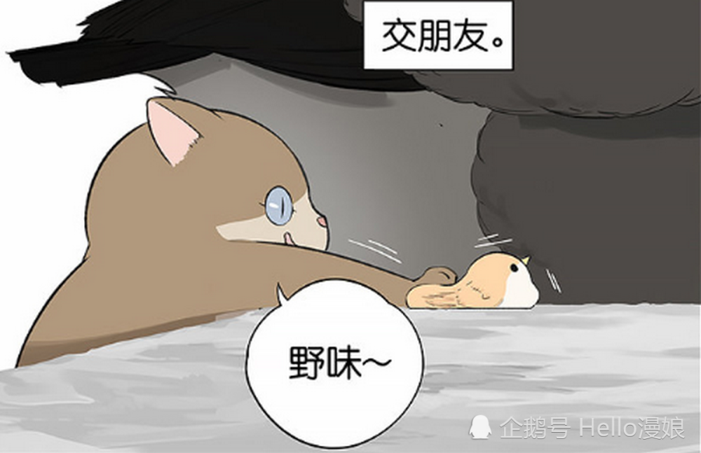 暖心漫画:小猫咪不屑与其他动物交朋友,可自己转头就被黑猫欺负了