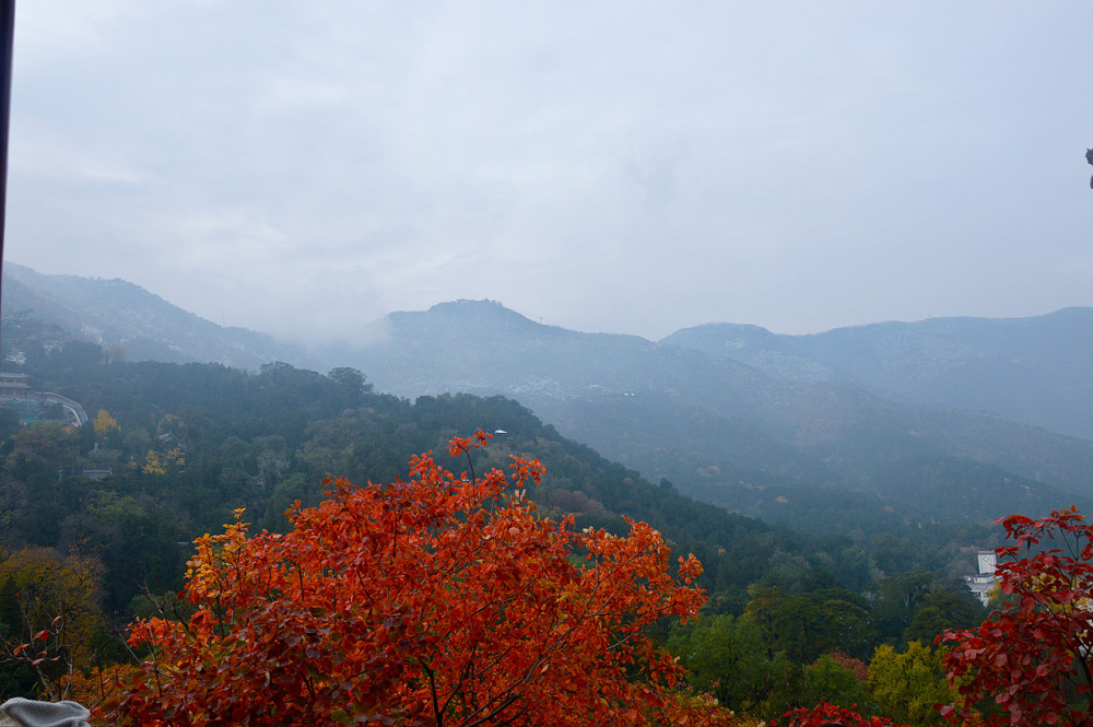 旅游景点,北京,公园,4a景区,香山公园