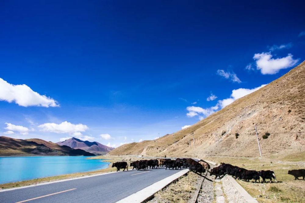 西藏三大圣湖之"羊卓雍措"