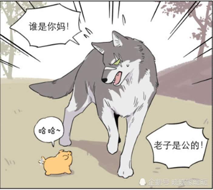 暖心漫画:狼王的宝贝谁都动不了