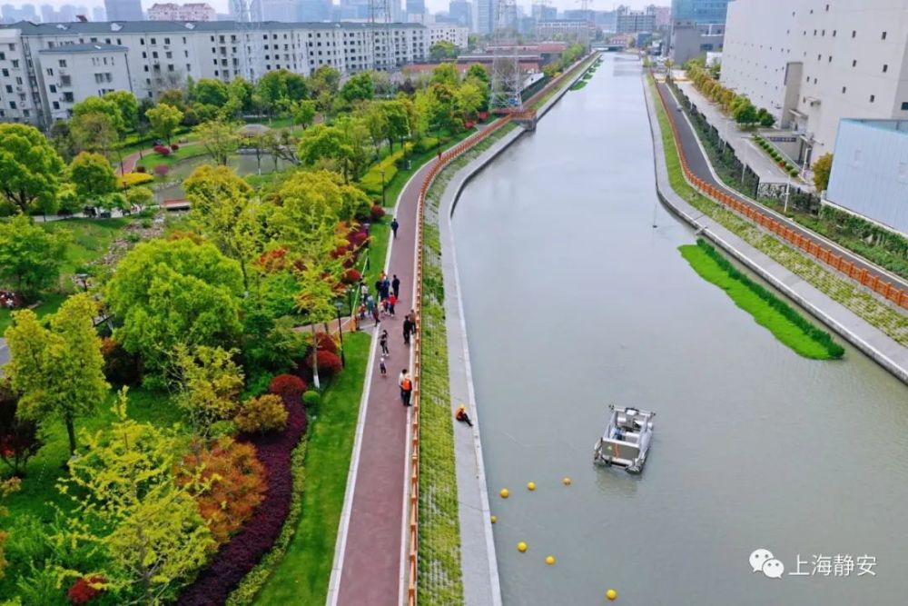 通过改建防汛墙,种植沿岸绿化等措施,极大地改善了河道环境面貌
