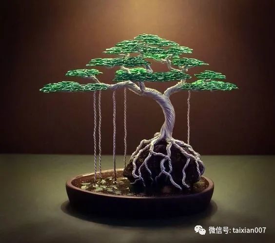 盆景,苔藓,园艺,庭院,艺术品