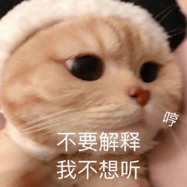斗图必备的搞怪表情包 你一般都是几点起床?