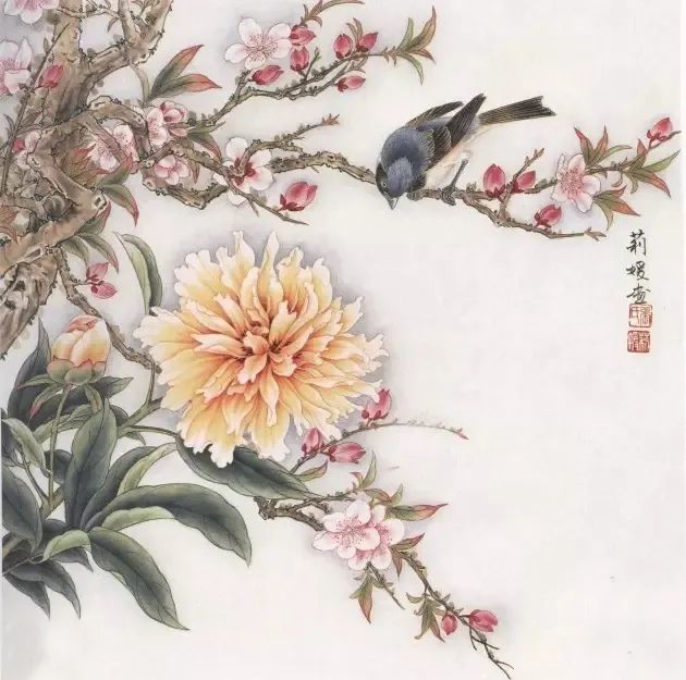 工笔芍药画法步骤与白描画稿