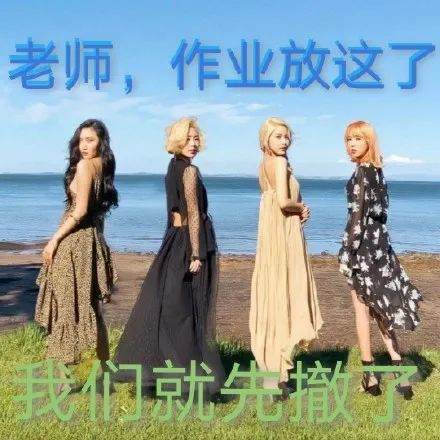 表情包:老师,我来交作业啦
