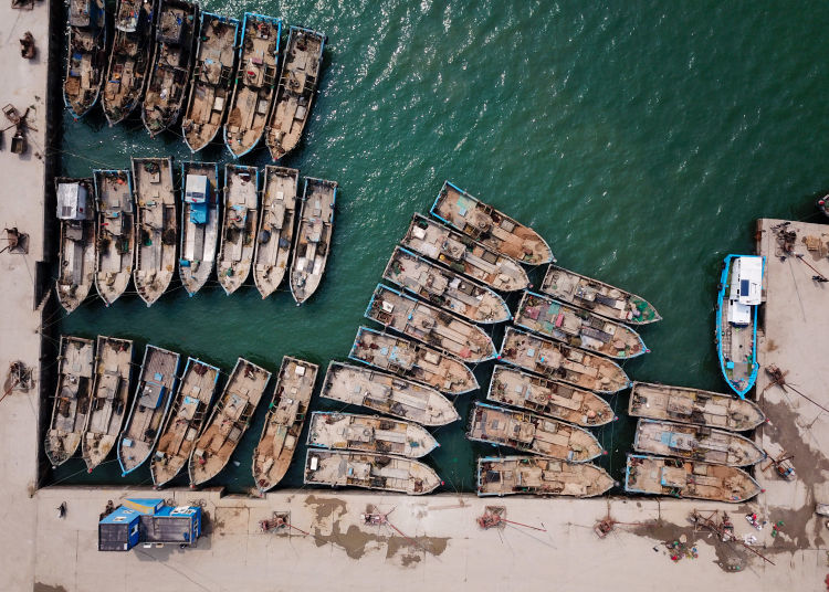 红岛渔港码头:船只归港 海蛎子,蛤蜊
