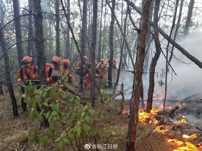 森林消防支队,丽江,玉龙县,龙蟠乡