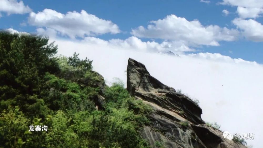 云海,汉阴县,凤凰山国家森林公园,陕西,梯田