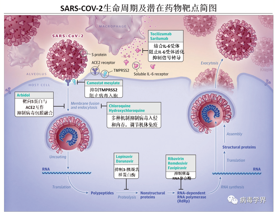 新冠病毒药物治疗系统性综述