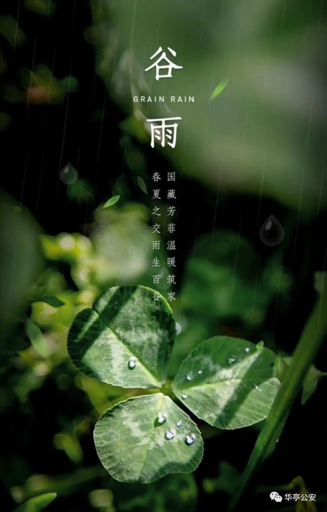 王琨"诗与远方"系列之谷雨篇
