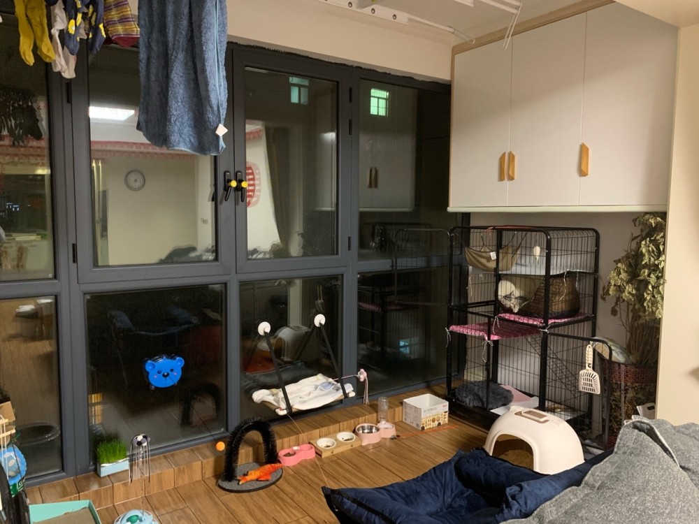新房,屋主,阳台,客厅,鞋柜,户型