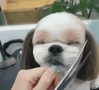 搞笑gif图:哥们,难怪你至今还单身,居然这样追女朋友