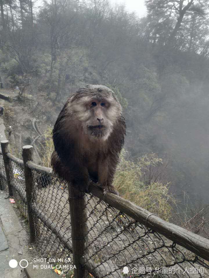 中国佛教名山-峨眉山美图