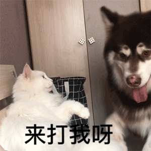 超搞笑的表情包