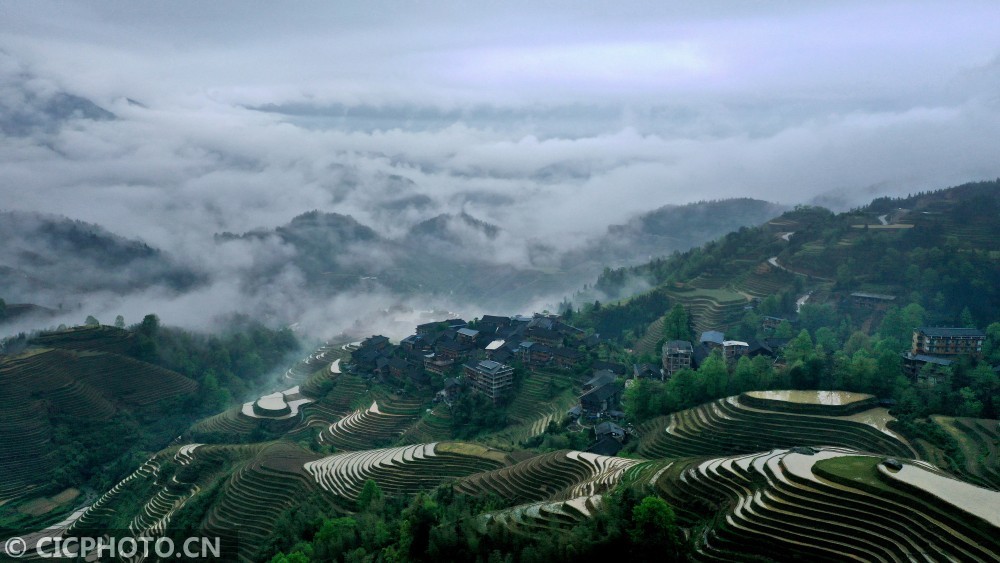 广西龙胜:雾绕梯田景色美