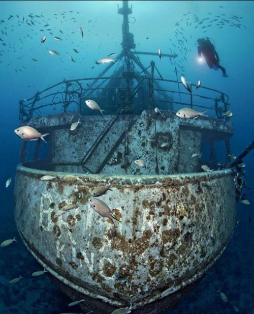 沉没水下已达2000年之久的古船出现世界上最古老的计算机