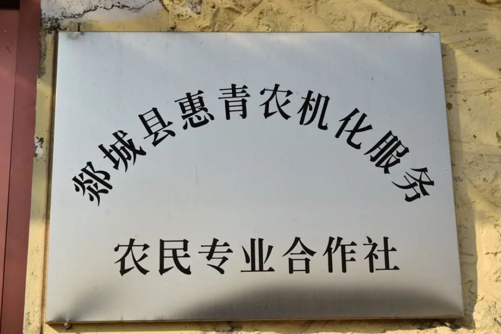 庙山镇惠青农机化服务农民专业合作社