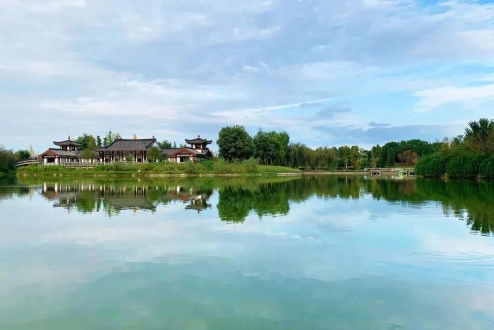 凤凰湖,樱花,美景,青白江区