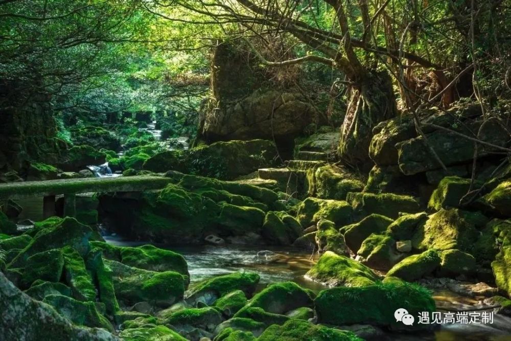 这里也是感受原生态大自然的好地方,除了山脚下的民居,在这里你,找不