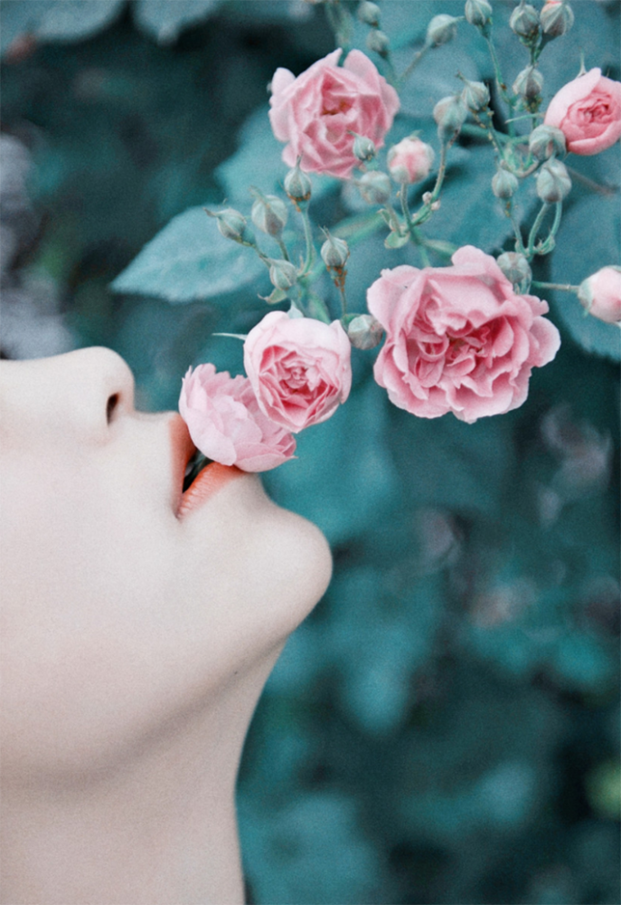 蔷薇已"花开满墙",与花墙合影,这么拍更上镜