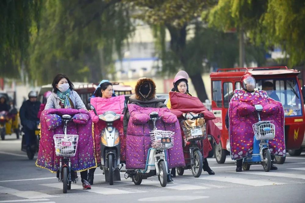 出行,电动车