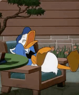 网友:相比动图牛,我更喜欢表情牛 费: 网友:你会用动图回答所有问题