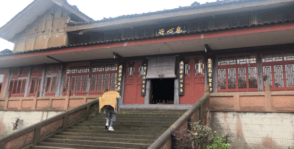 心所前那棵珙桐时 突然有了清人刘儒在《大峨山》中相同的感叹"峨眉