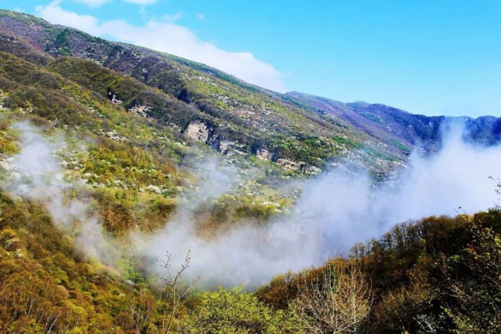 六盘山国家森林公园,景区,野荷谷,凉殿峡