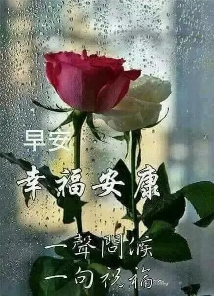 4月22日周三早晨温馨暖心的早上好动态图片大全 早上好阳光问候表情
