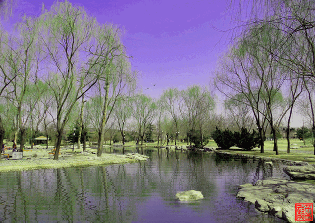 2020年的春天有点冷但看了这些诗画会春暖心田