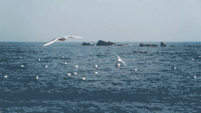 一边天涯海角启程花鸟岛吧拥抱属于夏天的蓝天白云和星辰大海远离城市