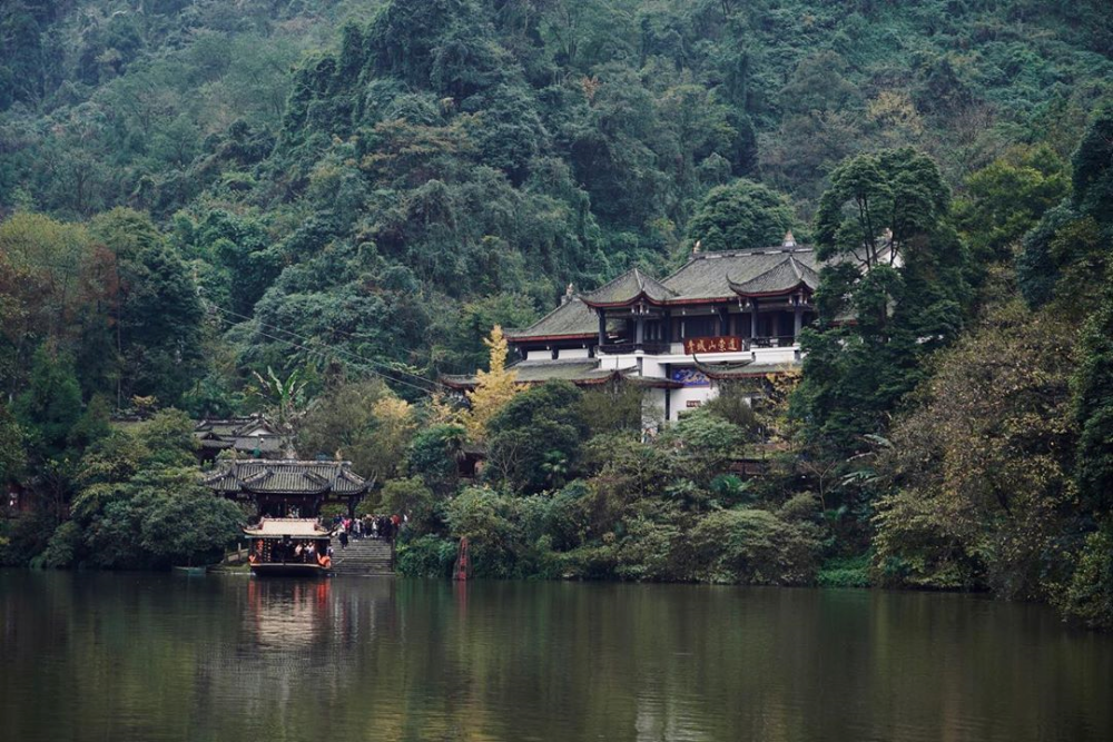 成都人的私藏地大公开!超cute大熊猫 宁静青城山,飙升