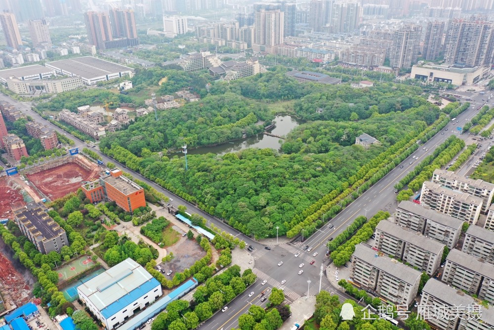 航拍衡阳市高新区主城区"天然氧吧"——生态公园