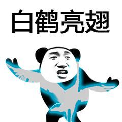 表情包,斗图,武功秘籍,搞笑,沙雕