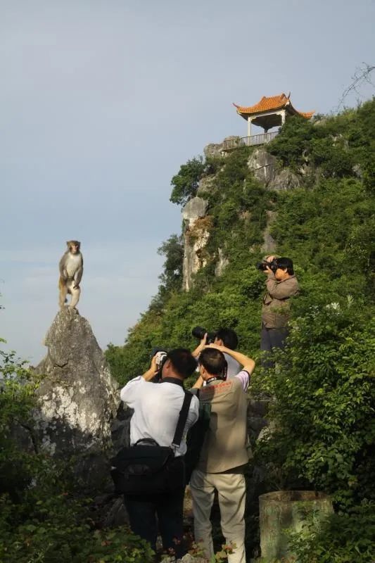 伊岭岩风景区,旅游景区,壮乡,南宁,旅游局