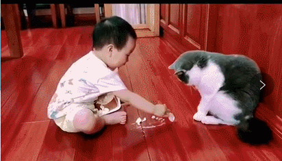 猫咪抓人也看对象,尊老爱幼不能忘