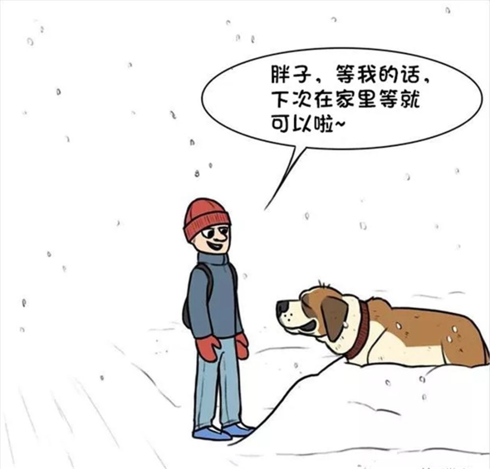 暖心漫画:忠犬胖子的故事,等待主人下班的日子,风雪无