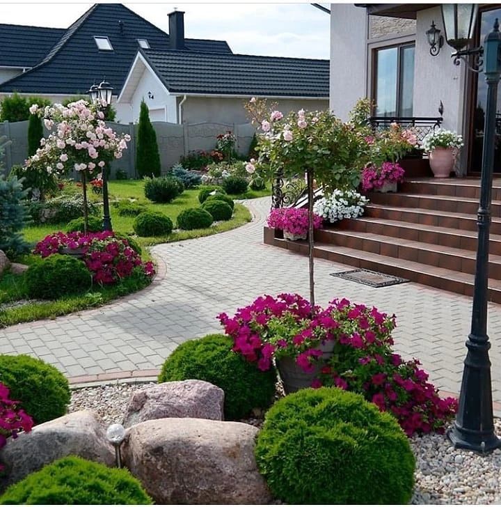 局部围合式小庭院——前庭的植物景观特点