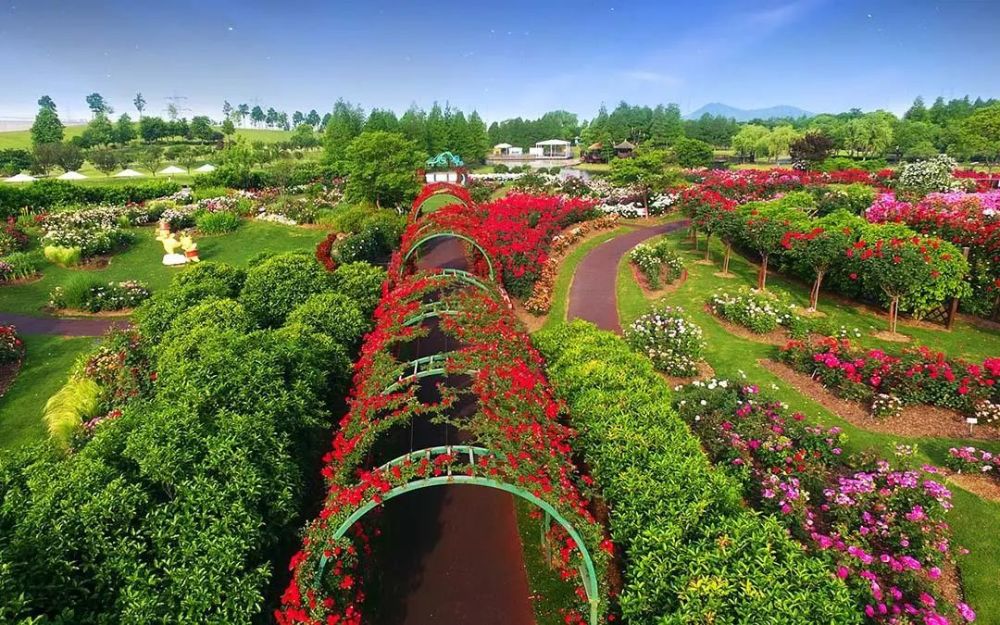 上海辰山植物园,辰山