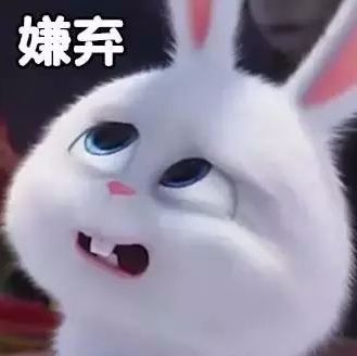 爱宠大机密表情包,毛绒兔子