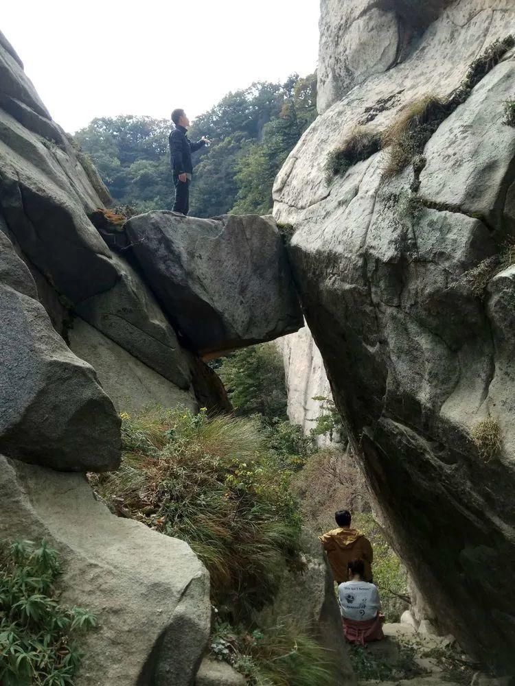 宜阳人免门票了!